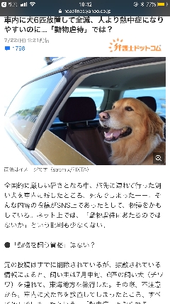 悲劇 旅行中 車で留守番させていた子犬６匹に死なれてしまった飼い主の不運に涙が止まらない ママの交流掲示板 ママスタコミュニティ